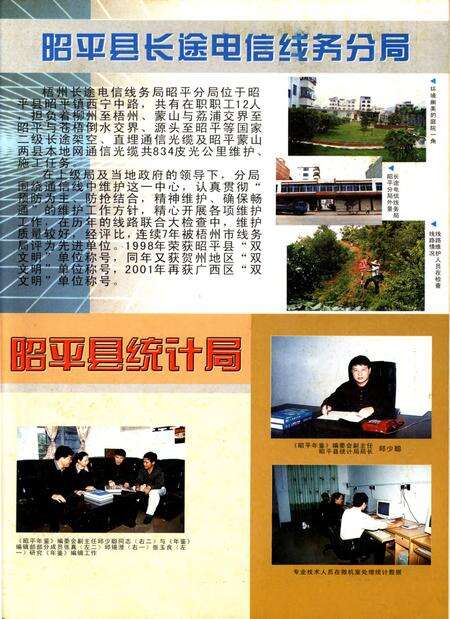 昭平统计年鉴 1995-2001.pdf电子版_广西壮族自治区志预览图2