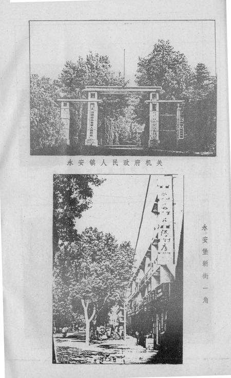 永安镇志.pdf电子版_湖北省志预览图2