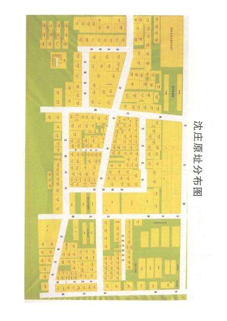 沈庄村志家谱.pdf电子版_河南省志预览图2