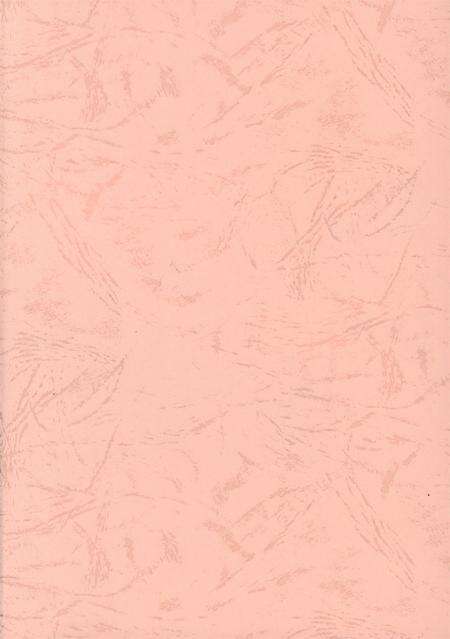 港口区大事记（1993.5-2003.5）.pdf电子版_广西壮族自治区志预览图2