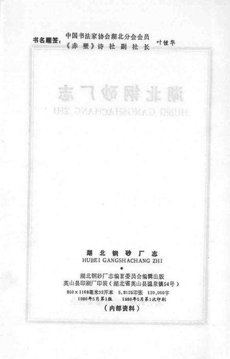 湖北钢砂厂志.pdf电子版_湖北省志预览图2