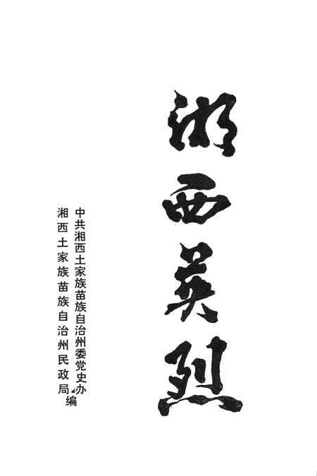 湘西英烈.pdf电子版_湖南省志预览图2