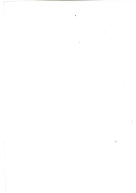 濮阳华龙区年鉴2008.pdf电子版_河南省志预览图2