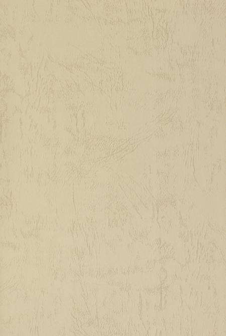 玉环县人大志.pdf电子版_浙江省志预览图2