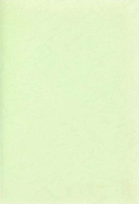 玉环年鉴2005.pdf电子版_浙江省志预览图2