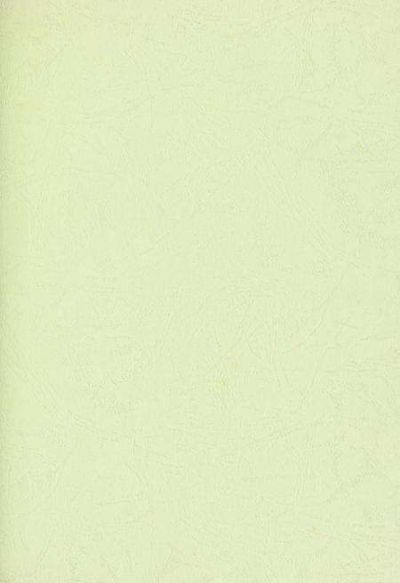 玉环年鉴2007.pdf电子版_浙江省志预览图2