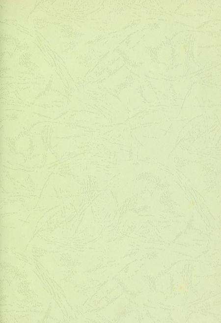 玉环年鉴2008.pdf电子版_浙江省志预览图2