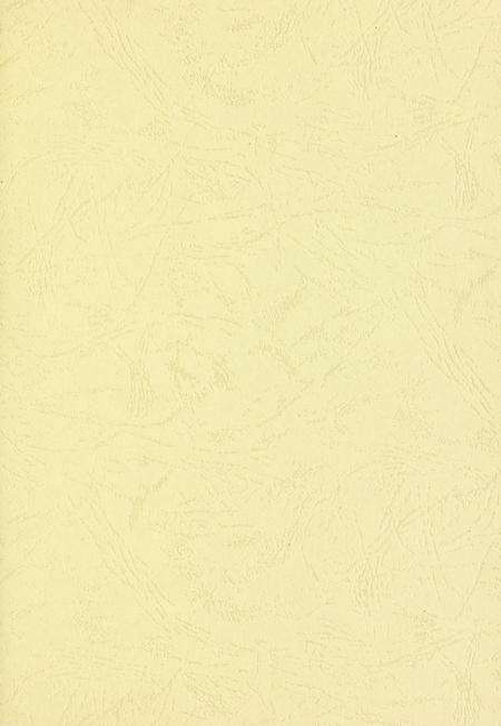 玉环年鉴2009.pdf电子版_浙江省志预览图2