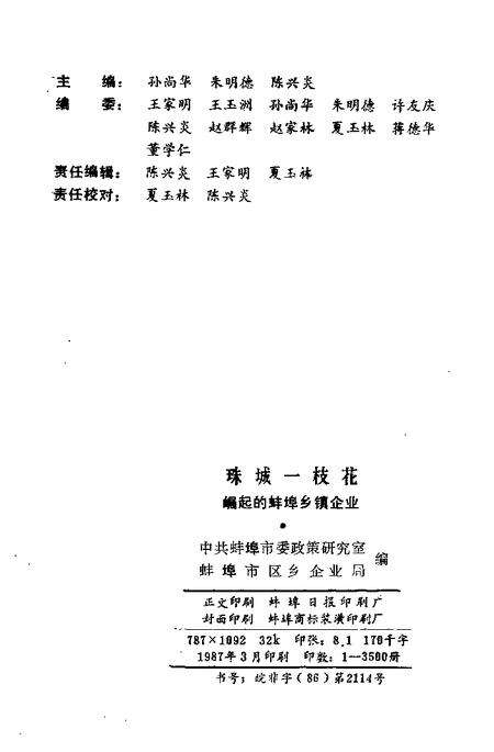 珠城一枝花  崛起的蚌埠乡镇企业.pdf电子版_安徽省志预览图2