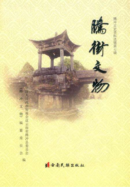 腾冲文物.pdf电子版_云南省志预览图2