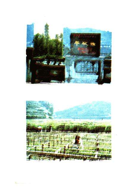 祁门古今.pdf电子版_安徽省志预览图2