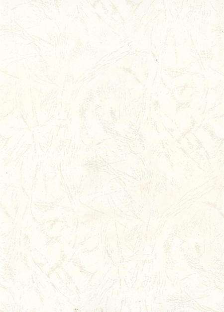 自贡年鉴2010.pdf电子版_四川省志预览图2