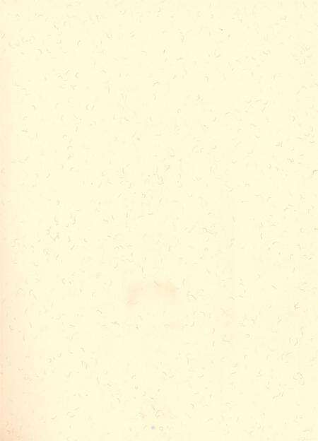 自贡年鉴2011.pdf电子版_四川省志预览图2