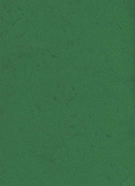 简阳年鉴·2004.pdf电子版_四川省志预览图2