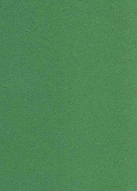 简阳年鉴·2007.pdf电子版_四川省志预览图2