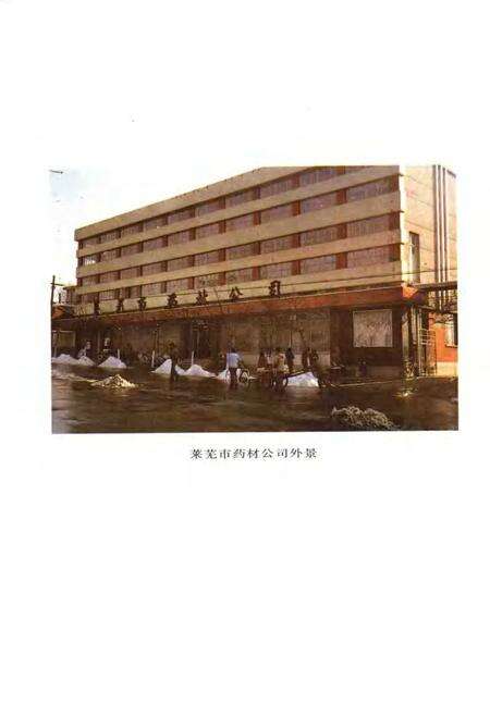 莱芜医院志.pdf电子版_山东省志预览图2