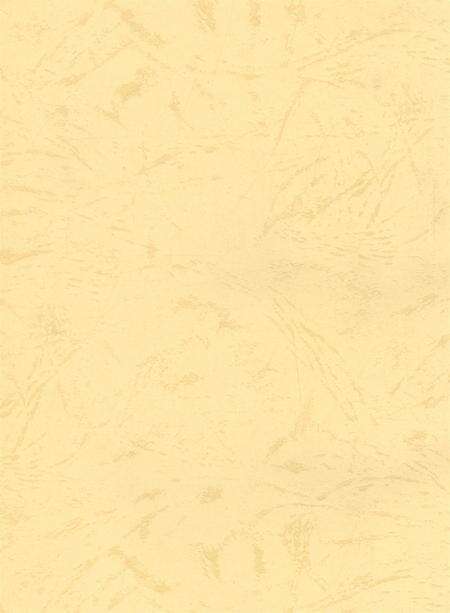 资阳统计年鉴（2004年）.pdf电子版_四川省志预览图2