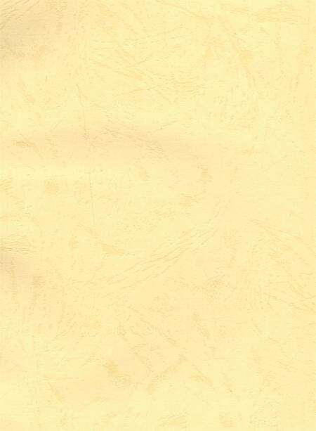 资阳统计年鉴（2005年）.pdf电子版_四川省志预览图2