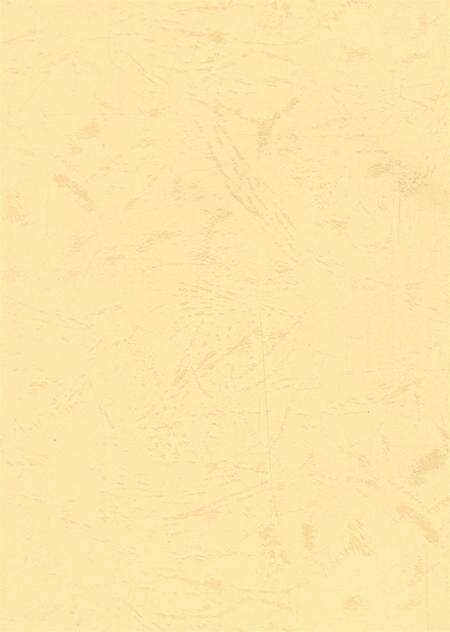 资阳统计年鉴（2006年）.pdf电子版_四川省志预览图2