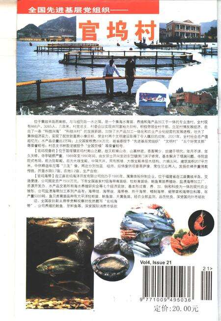 连江村志  下.pdf电子版_安徽省志预览图2