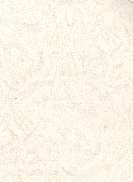 遂宁市粮油志（1996——2005）.pdf电子版_四川省志预览图2