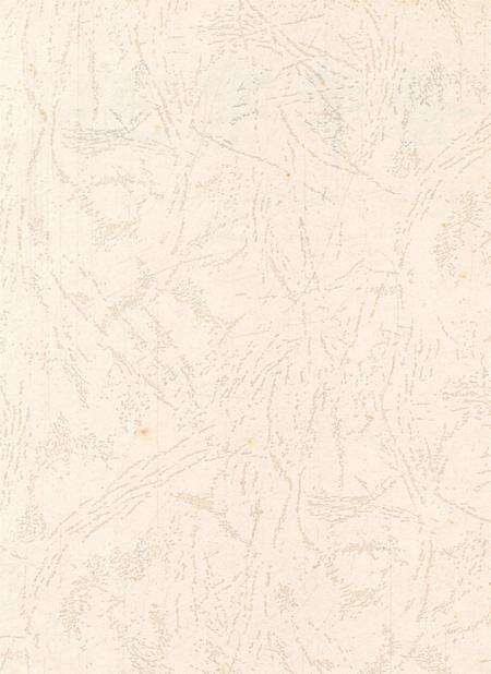 遂宁年鉴（2008年卷）.pdf电子版_四川省志预览图2