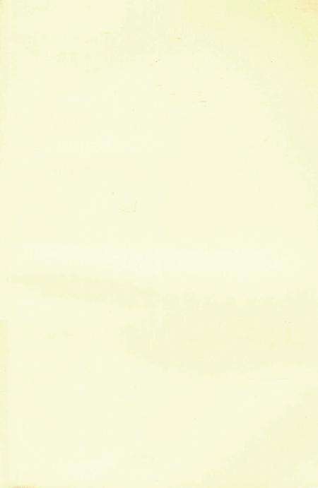 郴州市第一人民医院志 2007-2017.pdf电子版_湖南省志预览图2