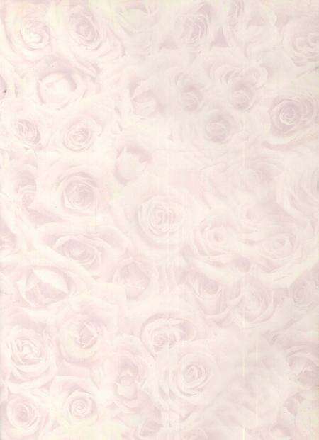 郴州年鉴1996～1997.pdf电子版_湖南省志预览图2