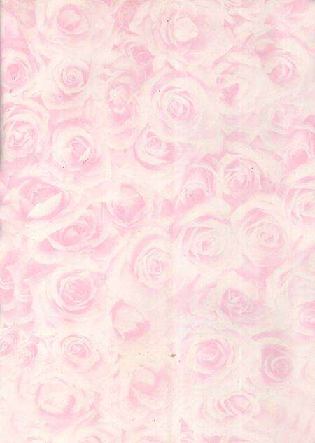 郴州年鉴1998.pdf电子版_湖南省志预览图2