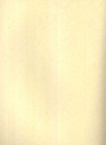 郴州年鉴2007.pdf电子版_湖南省志预览图2