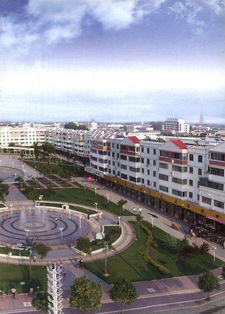 镇平县人口和计划生育志.pdf电子版_河南省志预览图2