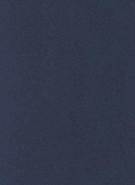 防城港公安志.pdf电子版_广西壮族自治区志预览图2