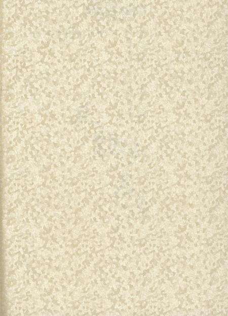 防城港市第三次全国文物普查：文物点名录.pdf电子版_广西壮族自治区志预览图2