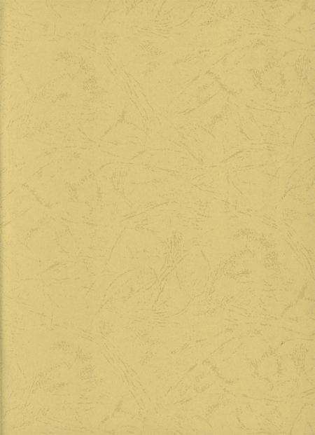 防城港市防城区地名志.pdf电子版_广西壮族自治区志预览图2