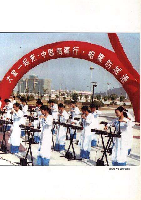 防城港文化遗产从书.非物质文化遗产部分.pdf电子版_广西壮族自治区志预览图2