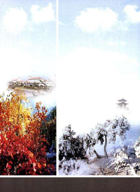 许昌年鉴2003.pdf电子版_河南省志预览图2