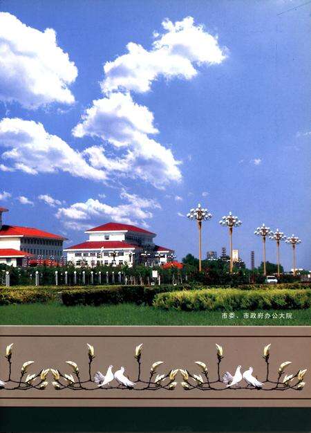 许昌年鉴2004.pdf电子版_河南省志预览图2