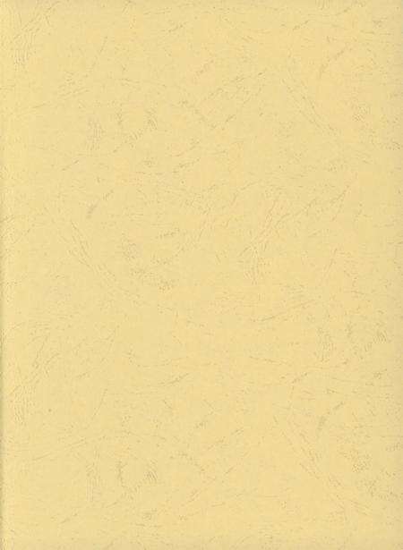 东兴市水利电力志.pdf电子版_广西壮族自治区志预览图2