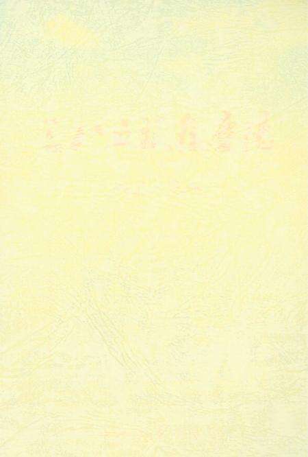 三八五旅在庆阳(上).pdf电子版_甘肃省志预览图2