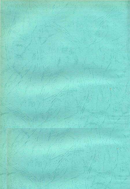 中共郴州市委执政纪事2006.pdf电子版_湖南省志预览图2