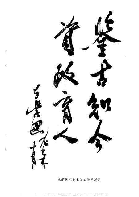 天津东丽文史资料  第4辑.pdf电子版_天津市志预览图2