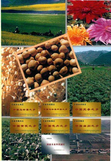 定西年鉴-2002.pdf电子版_甘肃省志预览图2