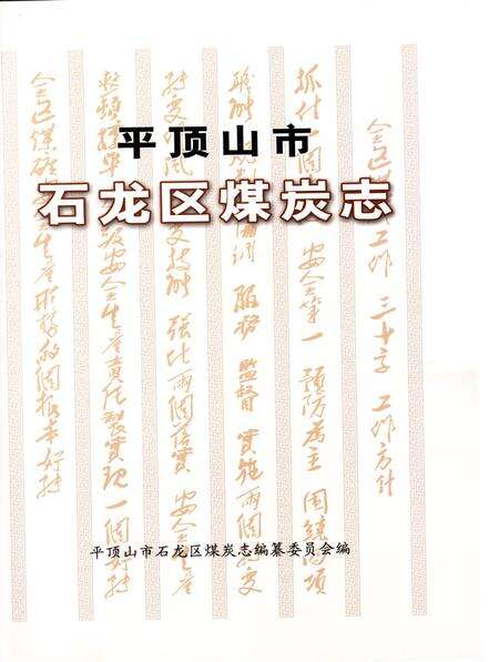 平顶山市石龙区煤炭志.pdf电子版_河南省志预览图2