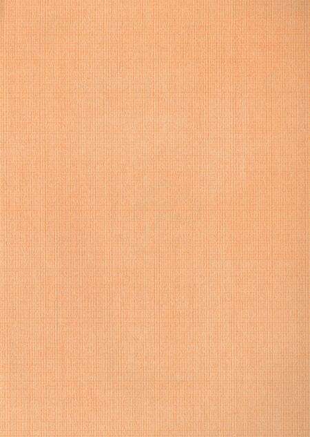 新晃侗族自治县人口和计划生育志.pdf电子版_湖南省志预览图2