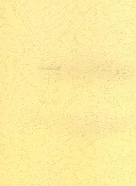 资阳统计年鉴（2003年）.pdf电子版_四川省志预览图2