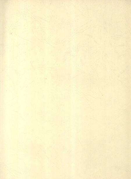 郴州年鉴2008.pdf电子版_湖南省志预览图2