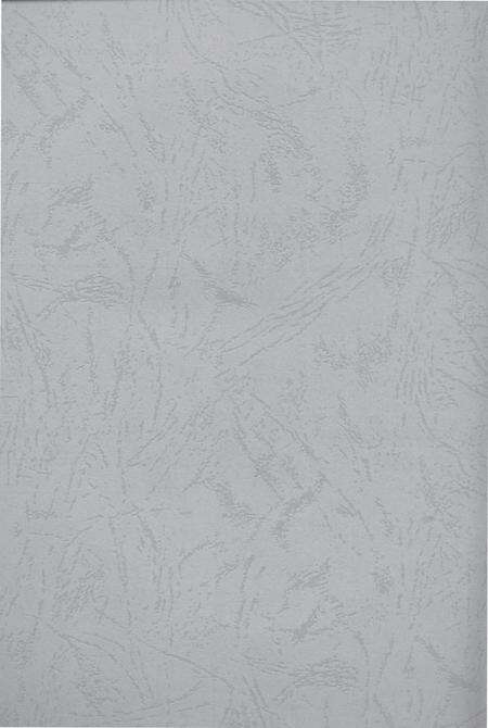 驰骋四海资兴人.pdf电子版_湖南省志预览图2