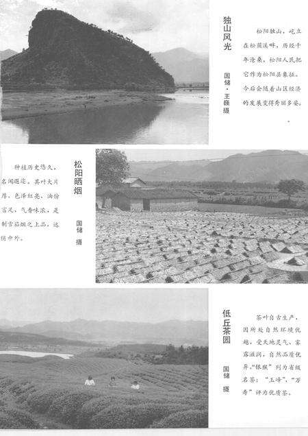 1986-浙江省松阳县土壤志.pdf电子版_浙江省志预览图2