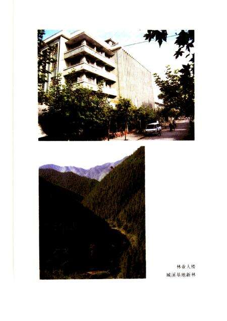 1988-开化林业志.pdf电子版_浙江省志预览图2