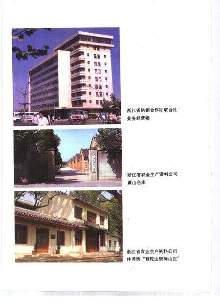 1989-浙江省供销合作社志.pdf电子版_浙江省志预览图2